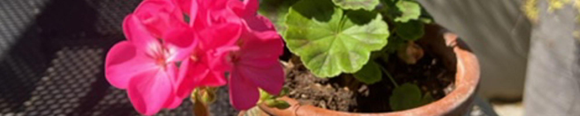 Thruxton Memorial Hall in Hampshire