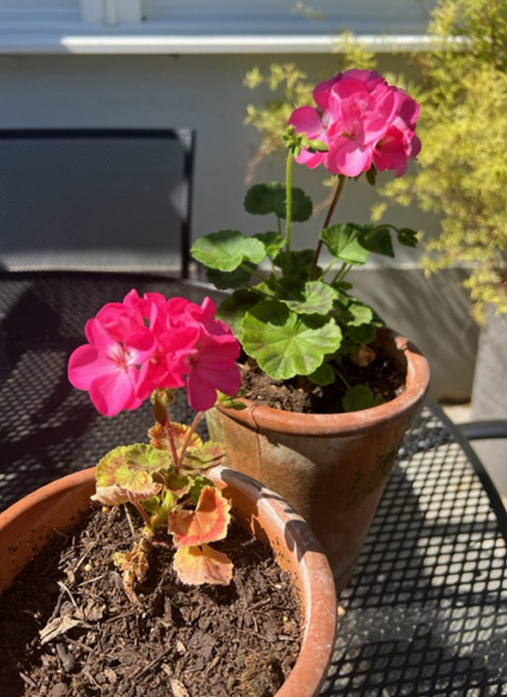 Thruxton Memorial Hall in Hampshire